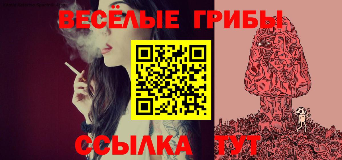 Галлюциногенные грибы Psilocybine cubensis Нефтеюганск